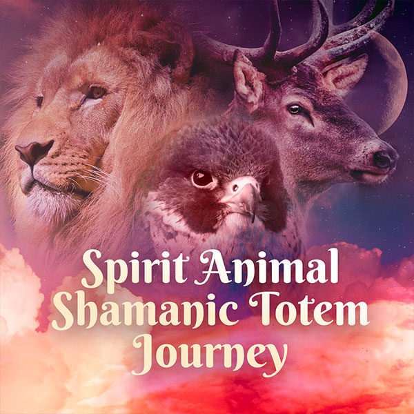 CC_Product_SpiritAnimalJourney